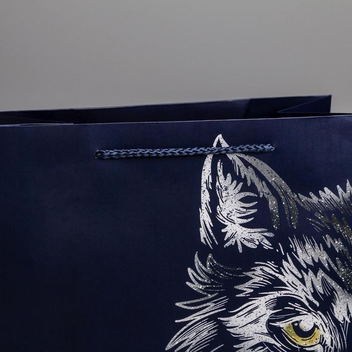 Пакет подарочный ламинированный вертикальный, упаковка, &laquo;Сильному духом&raquo;, ML 23 х 27 х 11,5 см