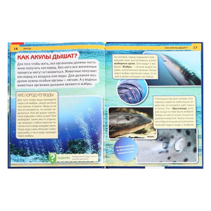 Энциклопедия с развивающими заданиями «Акулы» Энциклопедия с развивающими заданиями «Акулы»