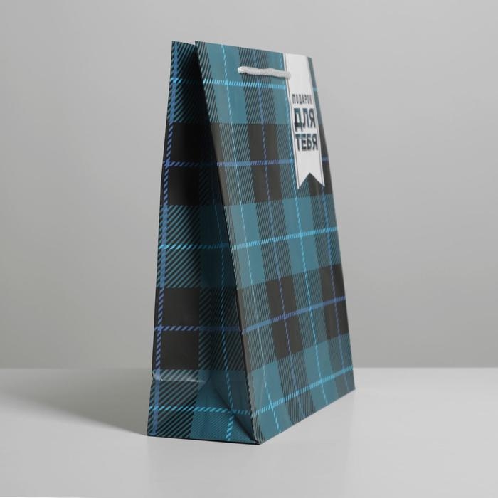 Пакет подарочный ламинированный, упаковка, «Real man», ML 21 х 25 х 8 см Пакет подарочный ламинированный, упаковка, «Real man», ML 21 х 25 х 8 см