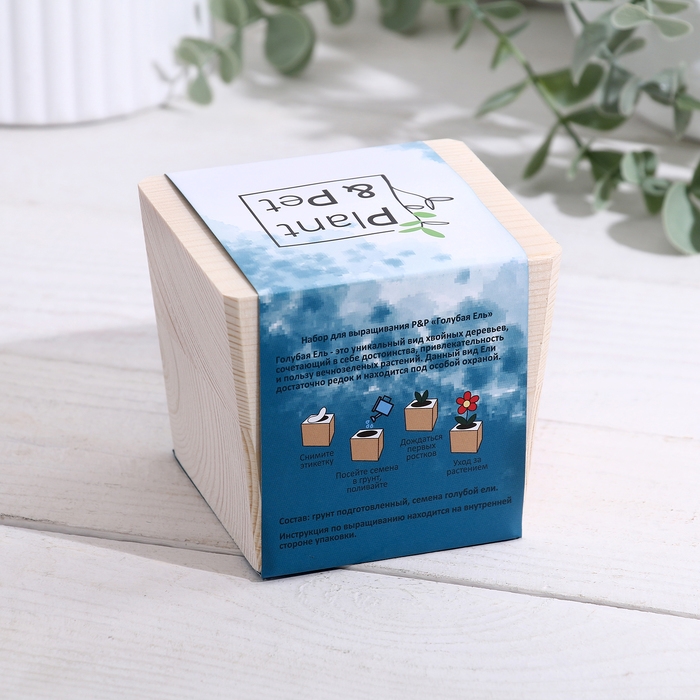 Набор для выращивания P&P Набор для выращивания P&P "Ель голубая"
