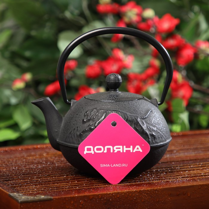 Чайник для плиты Доляна «Чёрный тигр», 700 мл, с ситом, чугун, эмалированное покрытие внутри, индукция, цвет чёрный Чайник для плиты Доляна «Чёрный тигр», 700 мл, с ситом, чугун, эмалированное покрытие внутри, индукция, цвет чёрный