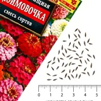 Семена цветов Цинния изящная &laquo;Дюймовочка&raquo;, смесь сортов, 0.3 г