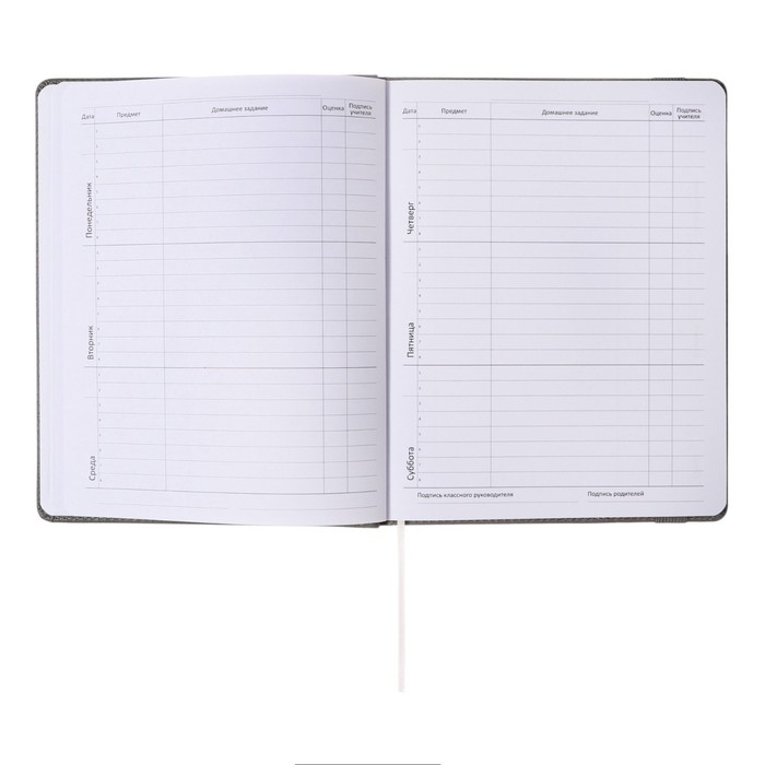 Дневник универсальный для 1-11 классов Grey, твёрдая обложка, искусственная кожа, резинка, ляссе, тонированный блок, 48 листов