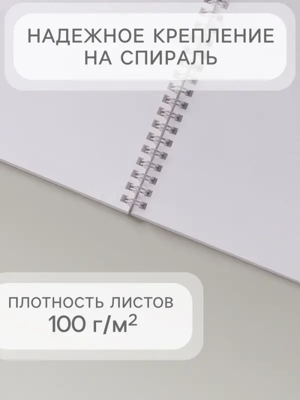 Альбом для рисования А4, 40 листов на гребне &laquo;Ван Кот&raquo;, блок офсет 100 г/м&sup2;, МИКС