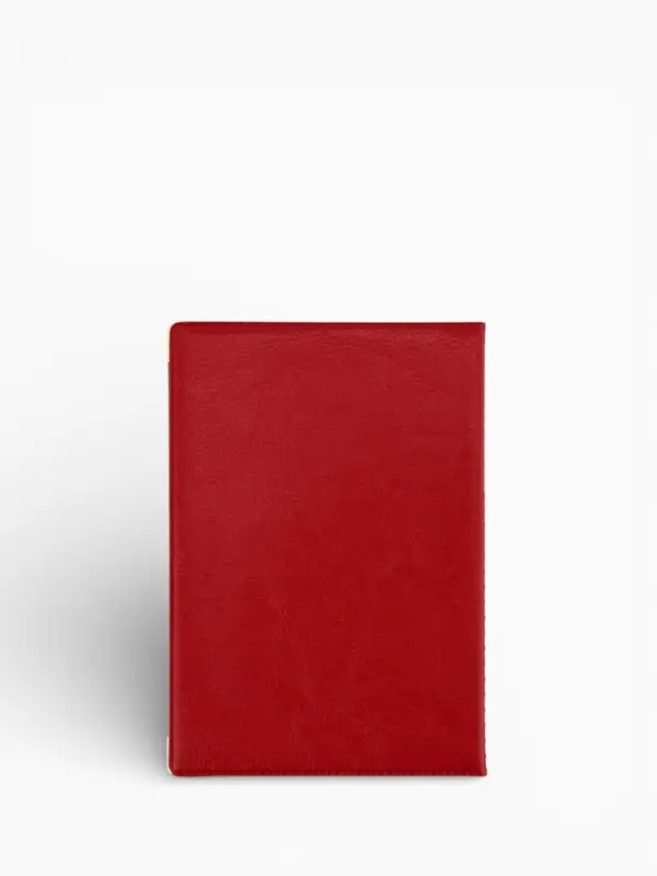 Обложка для паспорта, пвх, 9.5&times;0.5&times;13.5 см, МИКС