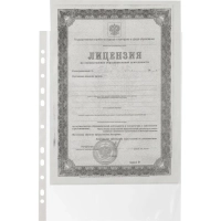 Файл-вкладыш А4 22-25мкм Выбор есть, гладкие, с перф, 100шт./уп