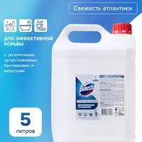 Чистящее средство универсальное DOMESTOS PROFESSIONAL Свежесть атлантики, гель, 5 л