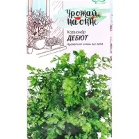 Семена Кориандр &laquo;Дебют&raquo;, 2 г, &laquo;Гавриш&raquo;