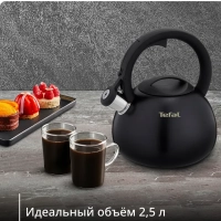 Чайник Kettle ss induction N4180417, для всех видов плит