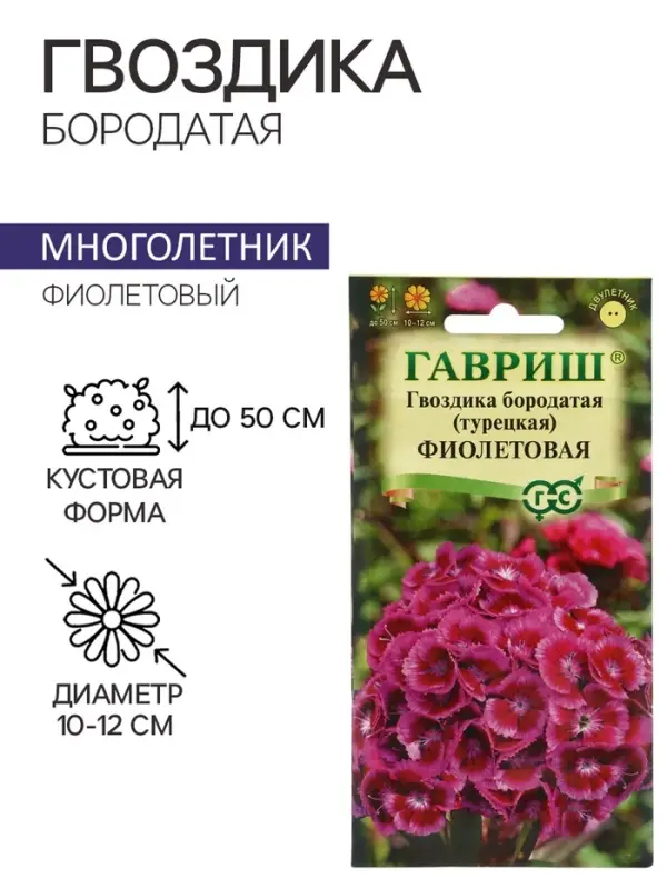 Семена гвоздика &laquo;Фиолетовая&raquo;, 0.1 г