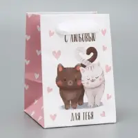 Пакет подарочный ламинированный, упаковка, «Котики», 7×10×7 см Пакет подарочный ламинированный, упаковка, «Котики», 7×10×7 см