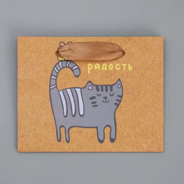 Пакет подарочный крафтовый, упаковка, «Несу радость», S 15 х 12 х 5.5 см Пакет подарочный крафтовый, упаковка, «Несу радость», S 15 х 12 х 5.5 см