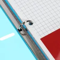 Тетрадь на кольцах ErichKrause. Pastel А4, 80 листов, в клетку, пластиковая обложка, блок офсет, 100% белизна, МИКС