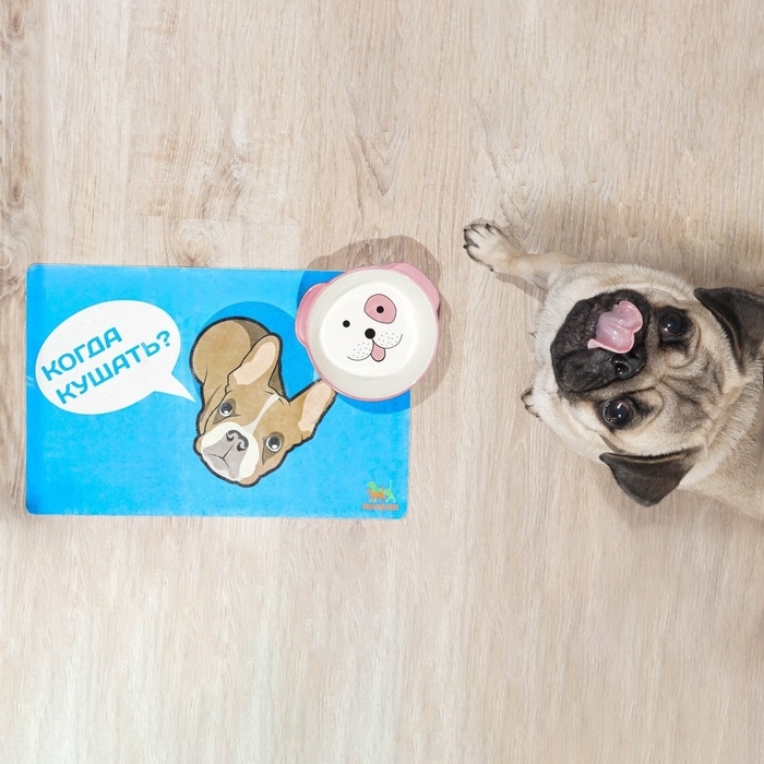 Коврик под миску  Коврик под миску "Пижон" с нескользящим основанием, 43 х 28 см, "Когда кушать?"