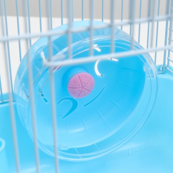 Клетка для мелких грызунов Клетка для мелких грызунов "Пижон", с наполнением, 23 х 17 х 40 см, голубая