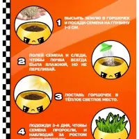 Набор для опытов «Выращиваем травку» Набор для опытов «Выращиваем травку»