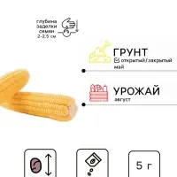 Семена Кукуруза сахарная &laquo;Утренняя песня&raquo;, 5 г, &laquo;Удачные семена&raquo;