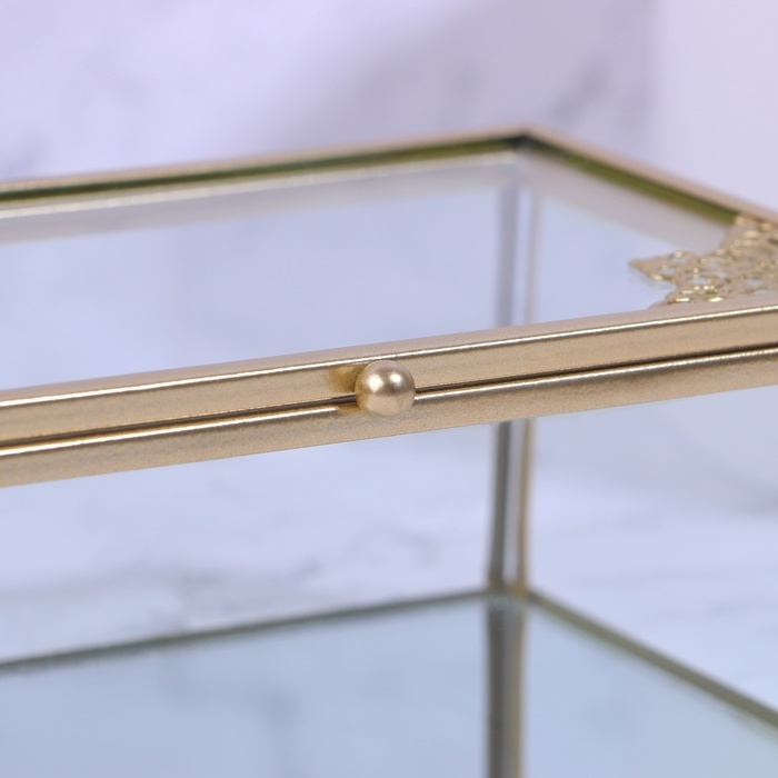 Органайзер для хранения «GREAT», с крышкой, стеклянный, с зеркальным дном, 1 секция, 14,5 × 8,5 × 6 см, цвет прозрачный/медный Органайзер для хранения «GREAT», с крышкой, стеклянный, с зеркальным дном, 1 секция, 14,5 × 8,5 × 6 см, цвет прозрачный/медный