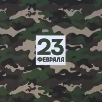 Бумага упаковочная крафтовая белая «23 февраля хаки», 50 x 70 см