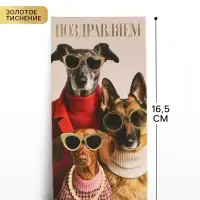 Конверт для денег &laquo;Поздравляю&raquo;, пёсики, тиснение, 16.5&times;8 см
