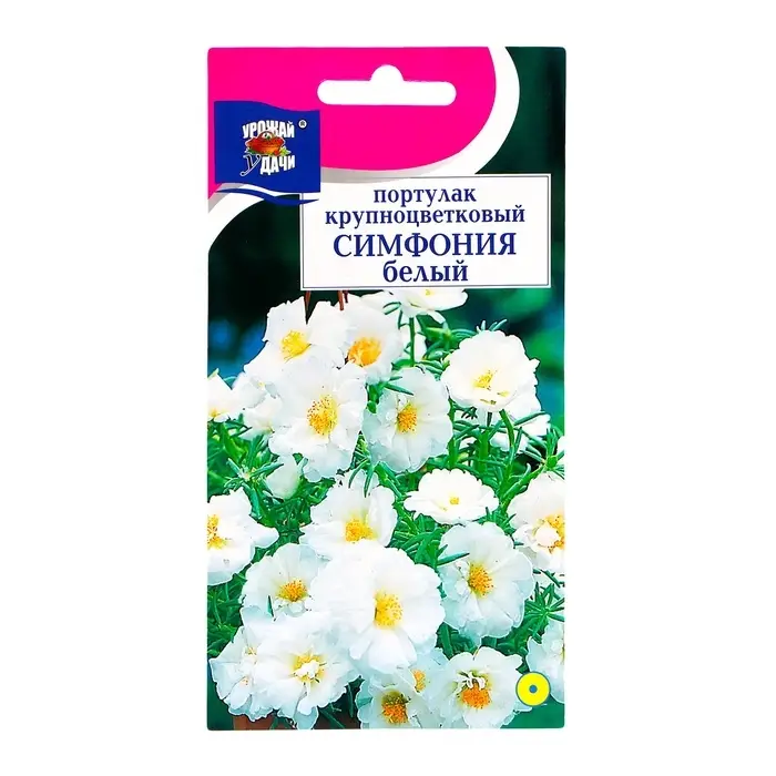 Семена цветов Портулак   Семена цветов Портулак  "СИМФОНИЯ", белый, 0,05 г