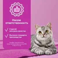 Сухой корм Wiskas для стерилизованных кошек, курица, 800 г