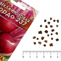 Семена Свекла столовая &laquo;Бордо 237 Лидер&raquo;, 2 г, &laquo;Агрофирма АЭЛИТА&raquo;