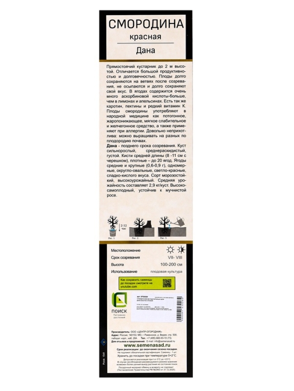 Смородина красная перспективные сорта Дана/ЦКорЛюкс Смородина красная перспективные сорта Дана/ЦКорЛюкс