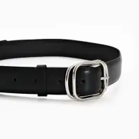 Ремень жен 06-01-02-01, Июнь2504, 3,2*0,3*110 см, без винта, пряж металл, 1 прокол, черный 1090312 Ремень жен 06-01-02-01, Июнь2504, 3,2*0,3*110 см, без винта, пряж металл, 1 прокол, черный 1090312