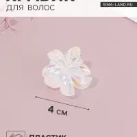 Крабик для волос &laquo;Бриса&raquo;, 4 см, прозрачный перламутр