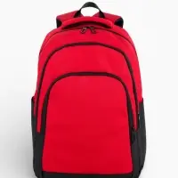 Рюкзак, водонепроницаемое дно, 2 отделения, 3 кармана, 31&times;14.5&times;45 см, красный