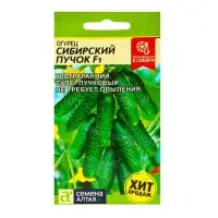 Семена Огурец "Сибирский Пучок", F1, 5 шт