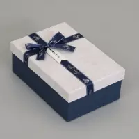 Набор подарочных коробок 3 в 1 прямоугольные 23&times;16&times;9.5 21&times;14&times;8.0 19&times;12&times;6.5 см