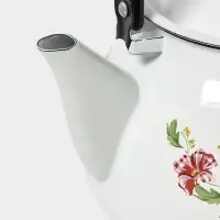 Чайник эмалированный &laquo;Астры&raquo;, 3 л, металлическая ручка, белый