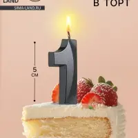 Свеча в торт на шпажке &laquo;Цифра 1&raquo;, черная, 5 см
