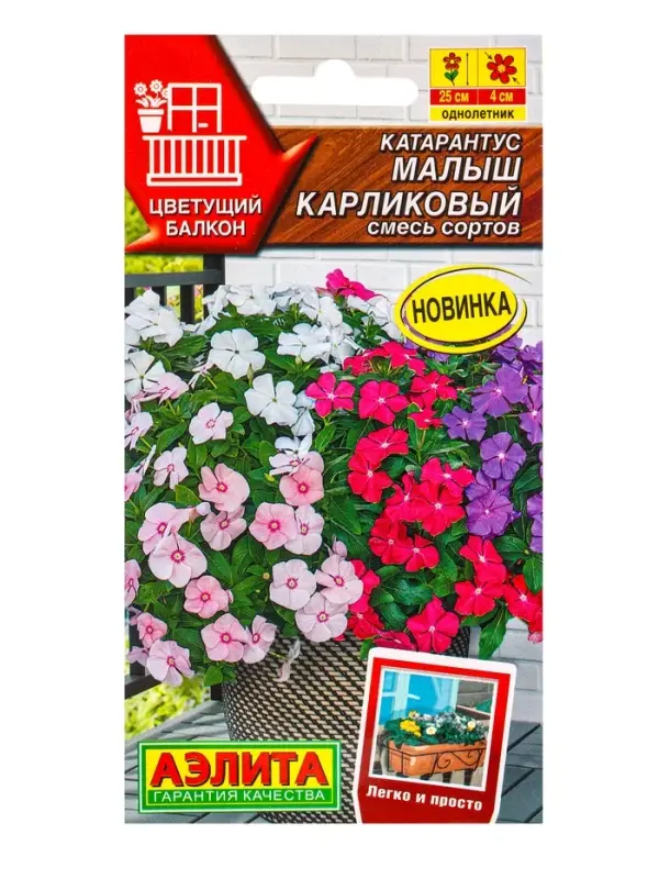 Семена цветов Катарантус Малыш карликовый, смесь сортов Цветущий балкон, Ц/П,0,05 г Семена цветов Катарантус Малыш карликовый, смесь сортов Цветущий балкон, Ц/П,0,05 г