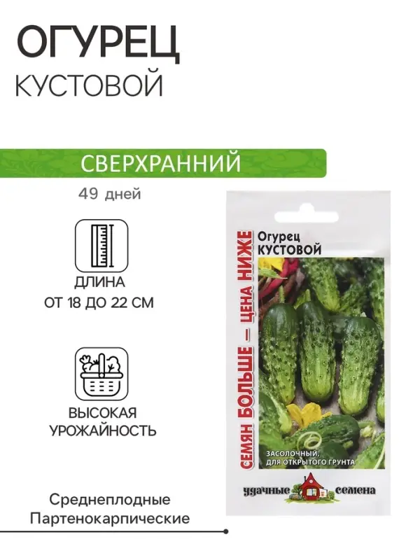Семена Огурец Семена Огурец "Кустовой", 1,0 г