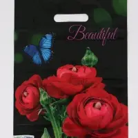 Пакет "Прекрасный букет , полиэтиленовый с вырубной ручкой 30х40 см, 60 мкм Пакет "Прекрасный букет , полиэтиленовый с вырубной ручкой 30х40 см, 60 мкм