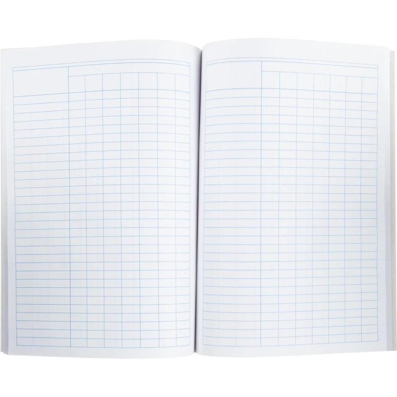 Книга учета 96л. пустографка, обл.картон