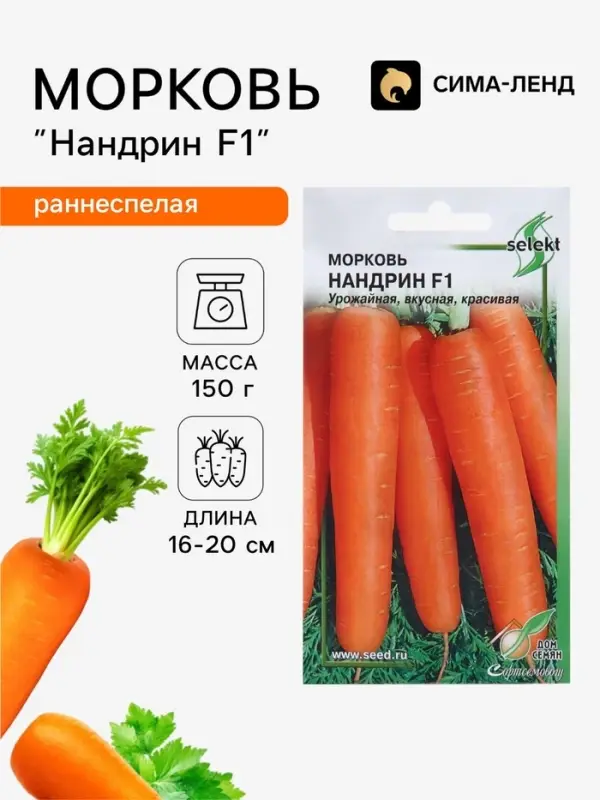 Семена Морковь &laquo;Нандрин&raquo; F1, 100 шт.