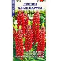 Семена Люпин Алые Паруса /Сотка/ 0,3 г/*1000 Семена Люпин Алые Паруса /Сотка/ 0,3 г/*1000
