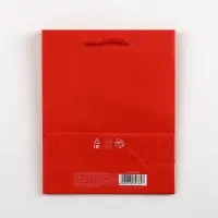 Пакет подарочный ламинированный, упаковка, &laquo;Красный&raquo;, S 12 х 15 х 5.5 см