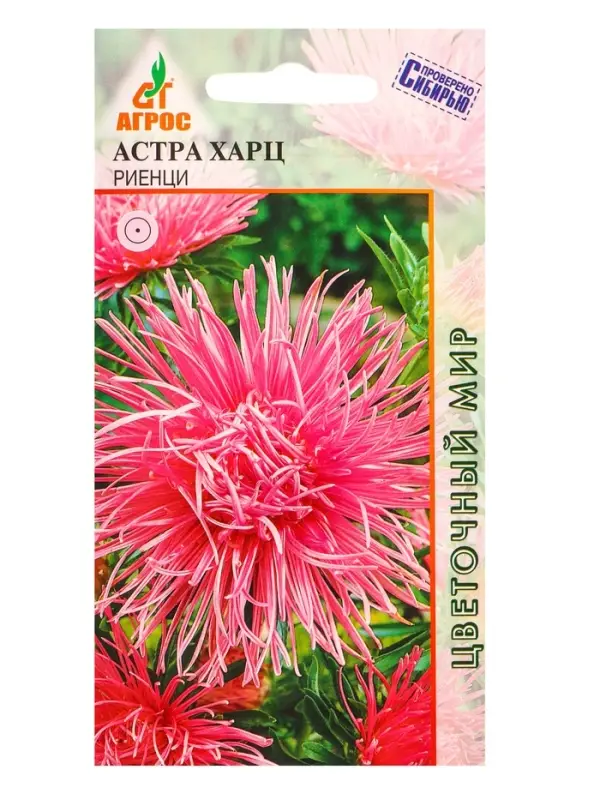 Семена Астра Харц Риенци 0,3 г Семена Астра Харц Риенци 0,3 г