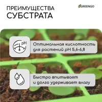 Субстрат кокосовый, универсальный, для террариумов и растений, в брикете, 65 л, 30% чипсы и 70% торф, Greengo
