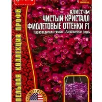 Семена цветов Алиссум Чистый Кристалл Purple Shades F1 (Clear Crystal) 5м.др. 12.29 г.