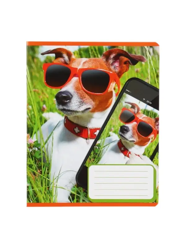 Комплект тетрадей из 10 штук, 12 листов в косую линию Calligrata "СелфиDOG", обложка мелованная бумага, ВД-лак, блок №2, белизна 75% (серые листы), 5 видов по 2 штуки