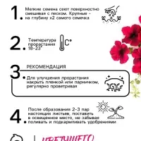 Семена цветов Петуния &laquo;Тайдал Вейв Ред Велюр&raquo;, 5 шт., &laquo;Агросидстрейд&raquo;