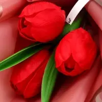 Подарочный букет из трех красных тюльпанов