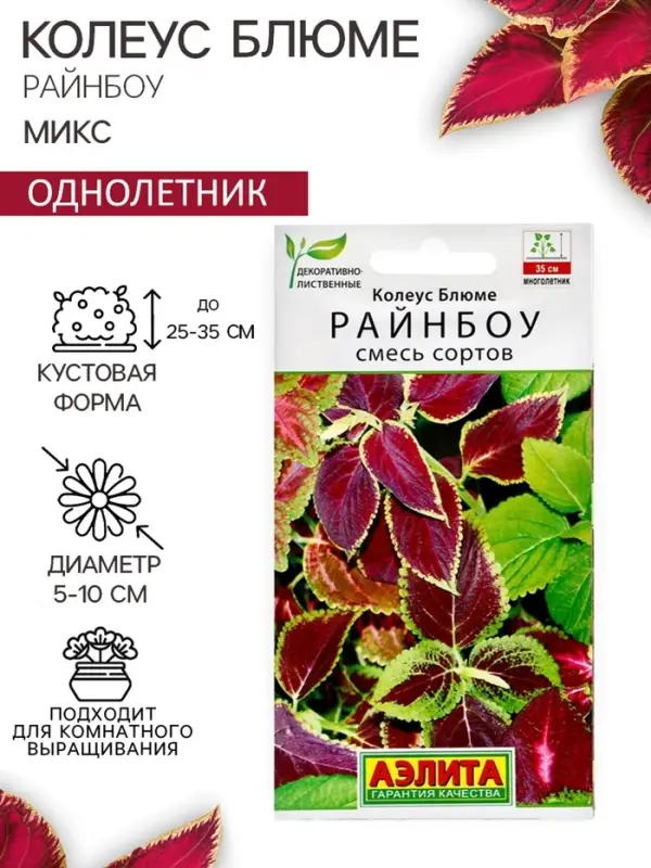 Семена цветов Колеус блюме  Семена цветов Колеус блюме "Райнбоу" смесь сортов, ц/п, 0,05 г