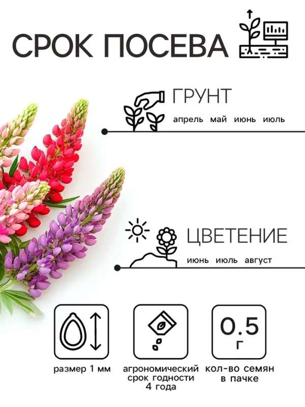 Семена цветов Люпин  Семена цветов Люпин "Смесь Рассела", 0,5 г